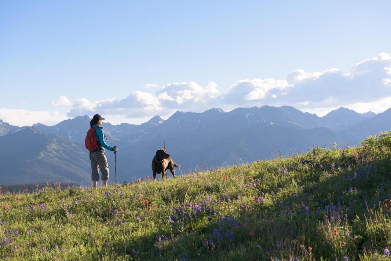 Lift House Lodge, Pet Friendly Studio Condo Vail Exteriör bild