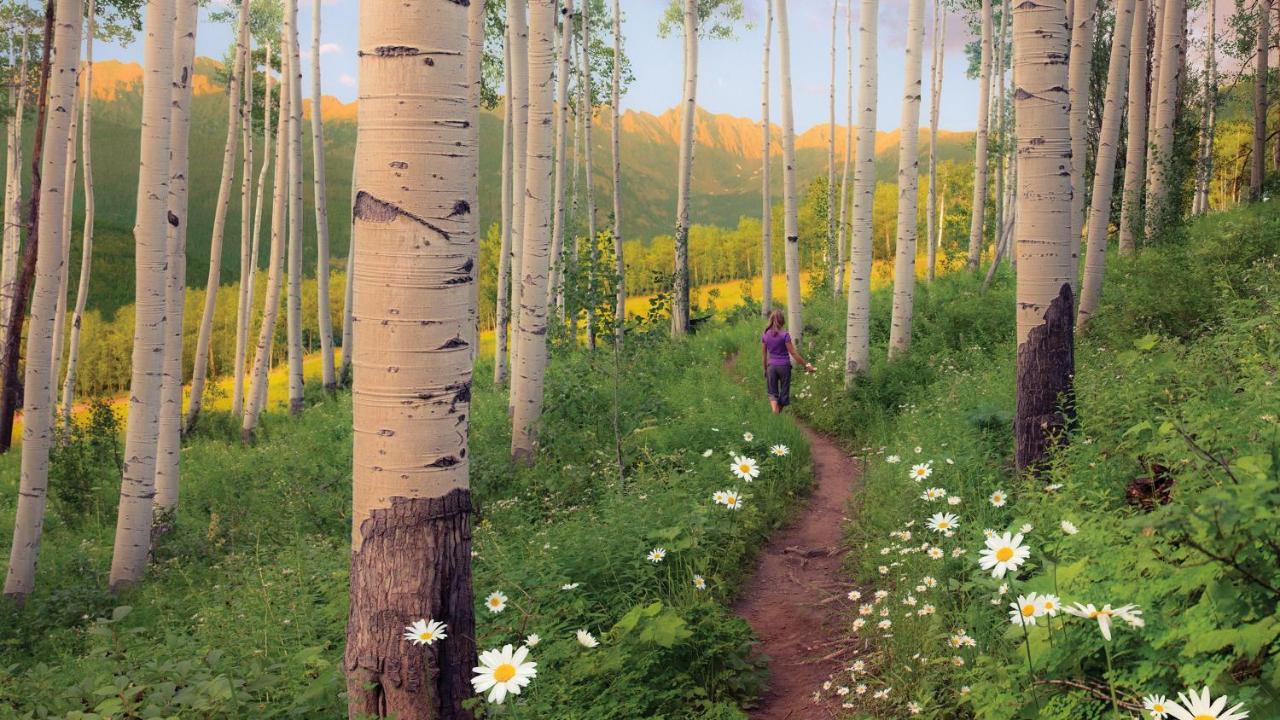 Lift House Lodge, Pet Friendly Studio Condo Vail Exteriör bild